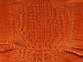 Krokodilleder - Krokoleder - Schuhsalon Schuller fertigt maßschuhe aus diesem exotischen Leder